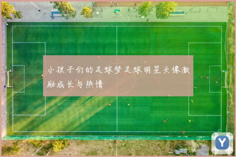小孩子们的足球梦足球明星头像激励成长与热情