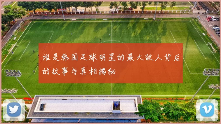 谁是韩国足球明星的最大敌人背后的故事与真相揭秘