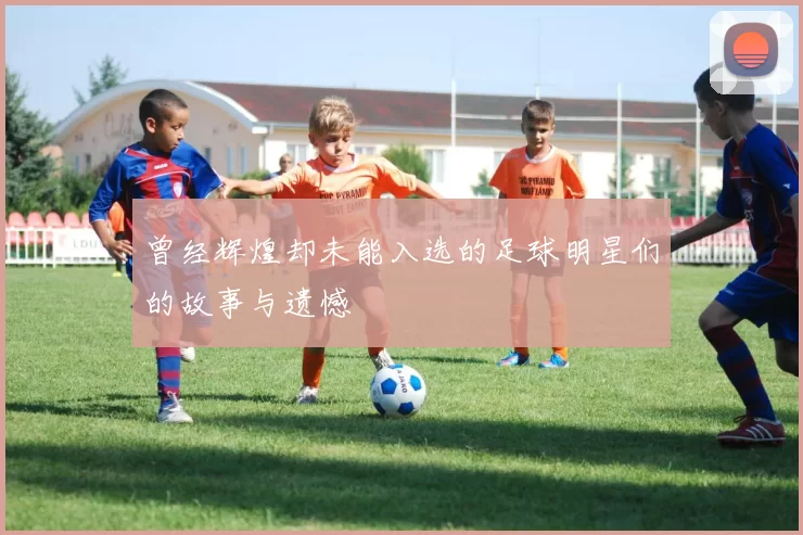 曾经辉煌却未能入选的足球明星们的故事与遗憾