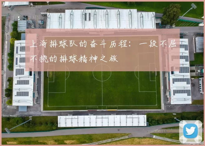 上海排球队的奋斗历程：一段不屈不挠的排球精神之旅