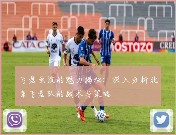 飞盘竞技的魅力揭秘：深入分析北京飞盘队的战术与策略