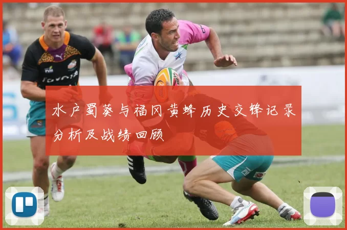 水户蜀葵与福冈黄蜂历史交锋记录分析及战绩回顾