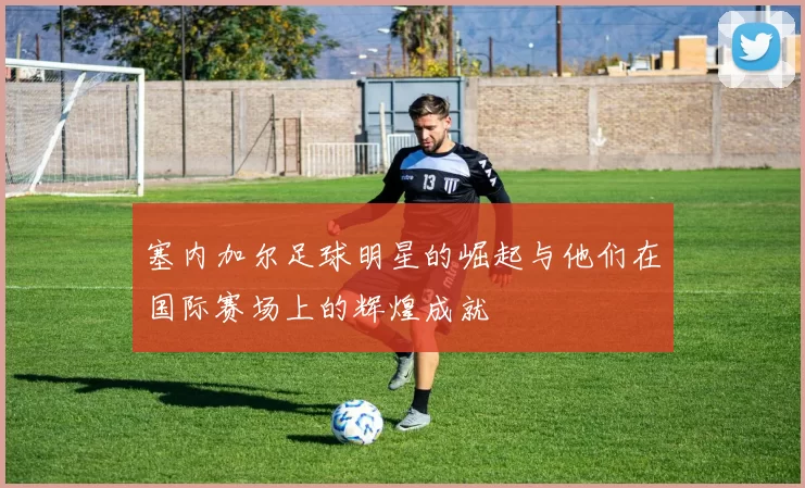 塞内加尔足球明星的崛起与他们在国际赛场上的辉煌成就