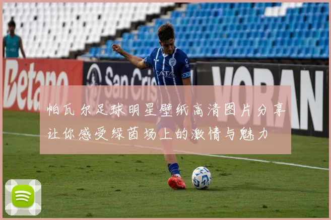 帕瓦尔足球明星壁纸高清图片分享让你感受绿茵场上的激情与魅力