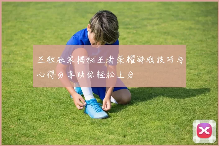 王敏独家揭秘王者荣耀游戏技巧与心得分享助你轻松上分
