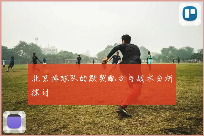 北京排球队的默契配合与战术分析探讨