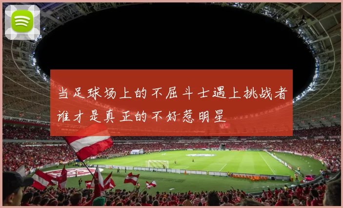 当足球场上的不屈斗士遇上挑战者谁才是真正的不好惹明星