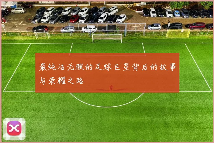 最纯洁无瑕的足球巨星背后的故事与荣耀之路