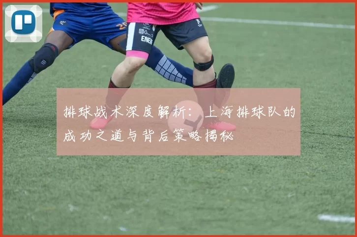 排球战术深度解析：上海排球队的成功之道与背后策略揭秘