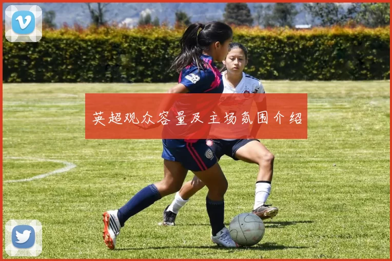 英超观众容量及主场氛围介绍