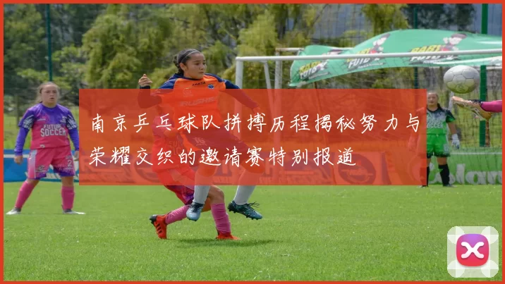 南京乒乓球队拼搏历程揭秘努力与荣耀交织的邀请赛特别报道