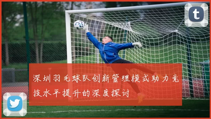 深圳羽毛球队创新管理模式助力竞技水平提升的深度探讨
