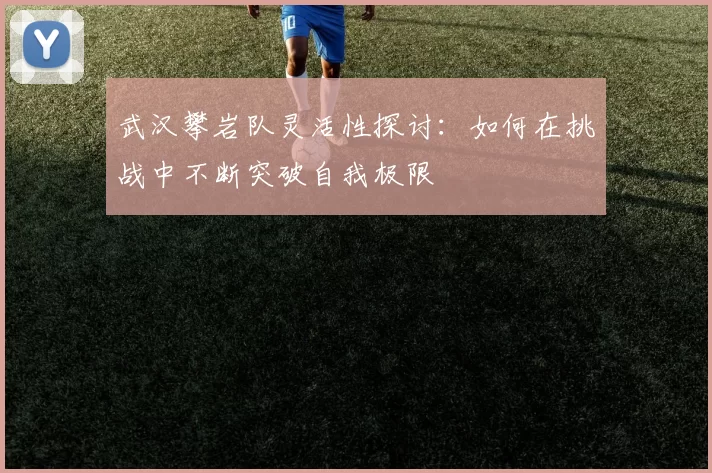 武汉攀岩队灵活性探讨：如何在挑战中不断突破自我极限