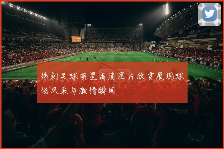 热刺足球明星高清图片欣赏展现球场风采与激情瞬间