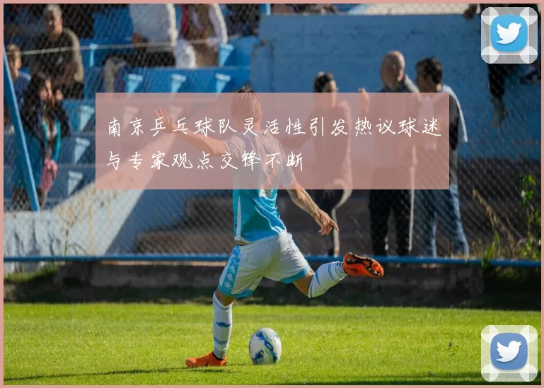 南京乒乓球队灵活性引发热议球迷与专家观点交锋不断