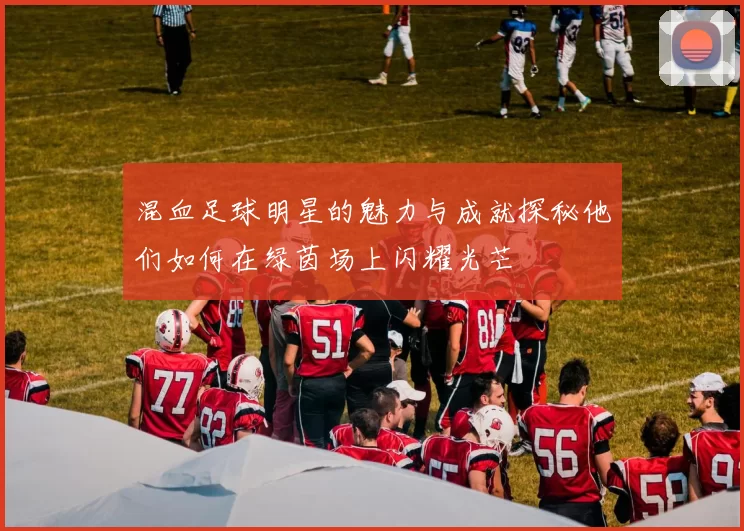 混血足球明星的魅力与成就探秘他们如何在绿茵场上闪耀光芒