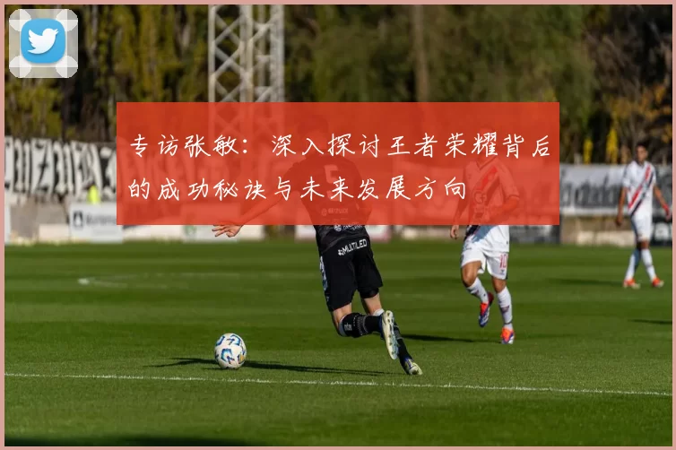 专访张敏：深入探讨王者荣耀背后的成功秘诀与未来发展方向