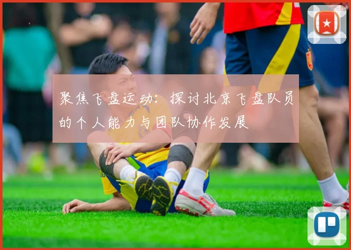 聚焦飞盘运动：探讨北京飞盘队员的个人能力与团队协作发展